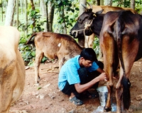 gokulam-balasadanam-39